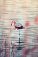 без име ( ID=2577550 ); Няма коментари