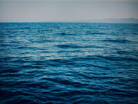 BLACK SEA; No comments