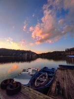 без име ( ID=2577576 ); Няма коментари