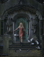 вдигаме гълъбите; Коментари:6