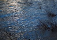 Марица се разлива; No comments