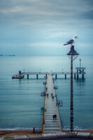 Крясък; Коментари:2