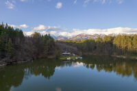 *; Няма коментари