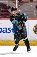 Спортен хъс; Няма коментари