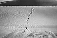 без име ( ID=2577628 ); Коментари:2