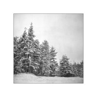 Calmness..; Коментари:1