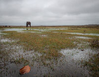 без име ( ID=2577727 ); Няма коментари