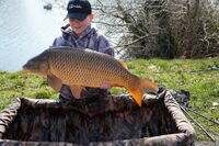 Голяма слука; Коментари:5