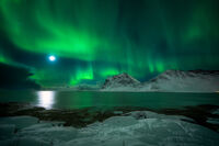 без име ( ID=2577743 ); Коментари:2