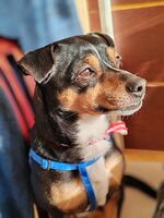 Рустик; comments:1