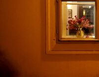 без име ( ID=2577802 ); Коментари:1