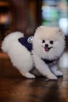 без име ( ID=2577804 ); Няма коментари