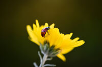 no name ( ID=2577808 ); comments:1