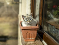 no name ( ID=2577816 ); comments:1