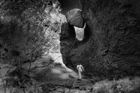 Закуска за шампиони; No comments