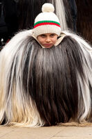 Mалък кукер, голяма традиция!; Коментари:2