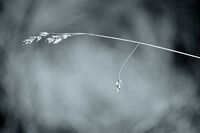 no name ( ID=2578004 ); comments:1