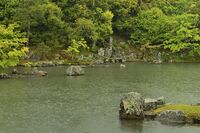 no name ( ID=2578084 ); comments:2