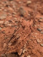 no name ( ID=2578085 ); No comments