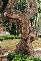 Женски форми...; comments:3