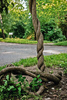 Форми; Коментари:3