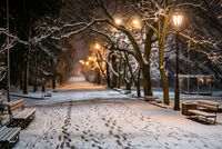 Стъпки в снега...; Коментари:3