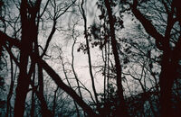 Гора, Зенит ТТЛ, 2/58, бленда 2, скорост 3 сек., Кодак Ектар 100; No comments