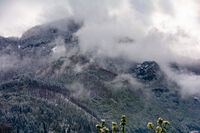 no name ( ID=2578122 ); comments:1