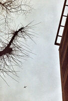 no name ( ID=2578127 ); No comments