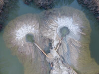 *I*; Коментари:9