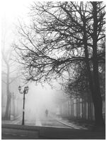 без име ( ID=2578148 ); Коментари:6