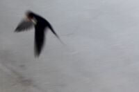 SPRING COMING / 2o26 Mart; No comments