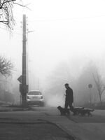 без име ( ID=2578158 ); Коментари:6