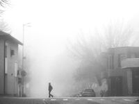 без име ( ID=2578160 ); Коментари:6