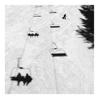 Да хванеш гората ;); comments:9