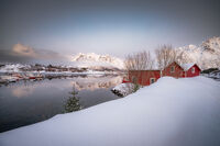 без име ( ID=2578174 ); Коментари:12