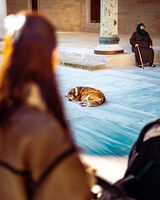 Мир; Няма коментари