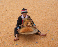 Corn Treasure; Коментари:1