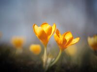 no name ( ID=2578226 ); comments:6