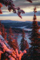 no name ( ID=2578229 ); No comments