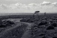 Надясно...; Коментари:9