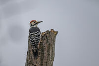 no name ( ID=2578259 ); No comments