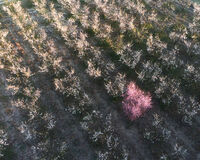 no name ( ID=2578271 ); comments:4