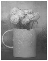 no name ( ID=2578277 ); comments:3