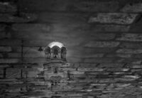 без име ( ID=2578289 ); Коментари:10