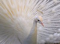 no name ( ID=2578290 ); comments:3