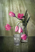 no name ( ID=2578292 ); comments:5