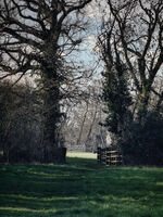 Порта към пролетта; comments:1