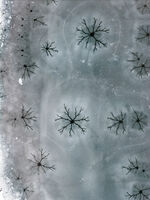 no name ( ID=2578313 ); comments:2