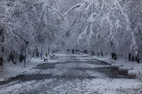 *; Коментари:9